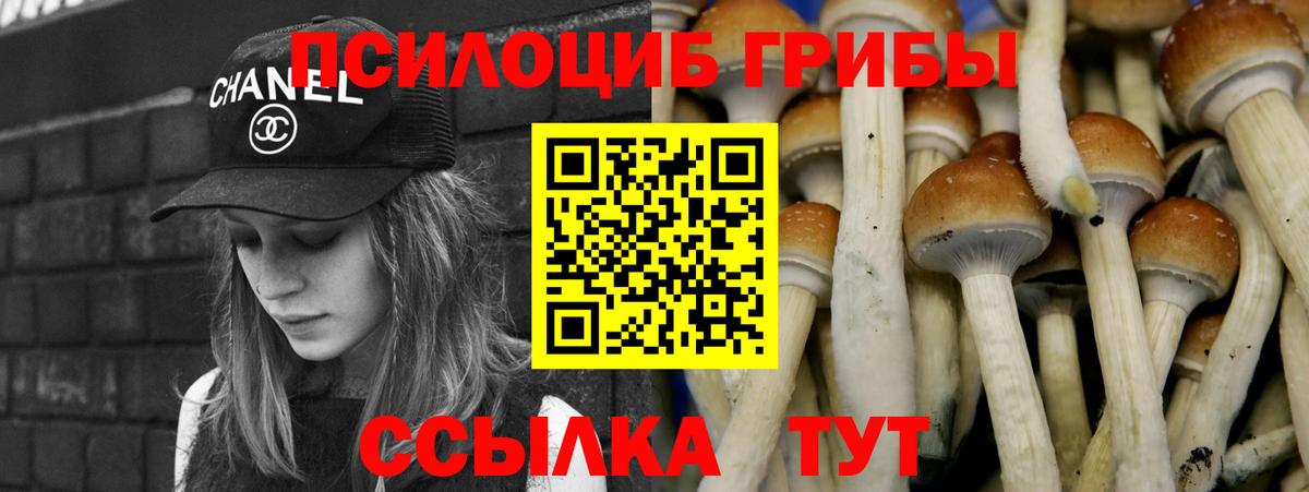 Псилоцибиновые грибы Cubensis Кореновск