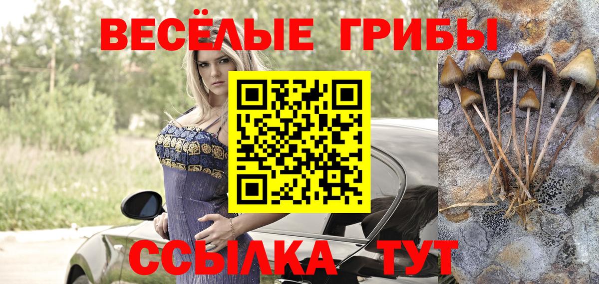 Псилоцибиновые грибы Magic Shrooms  Вход с VPN  Кореновск 